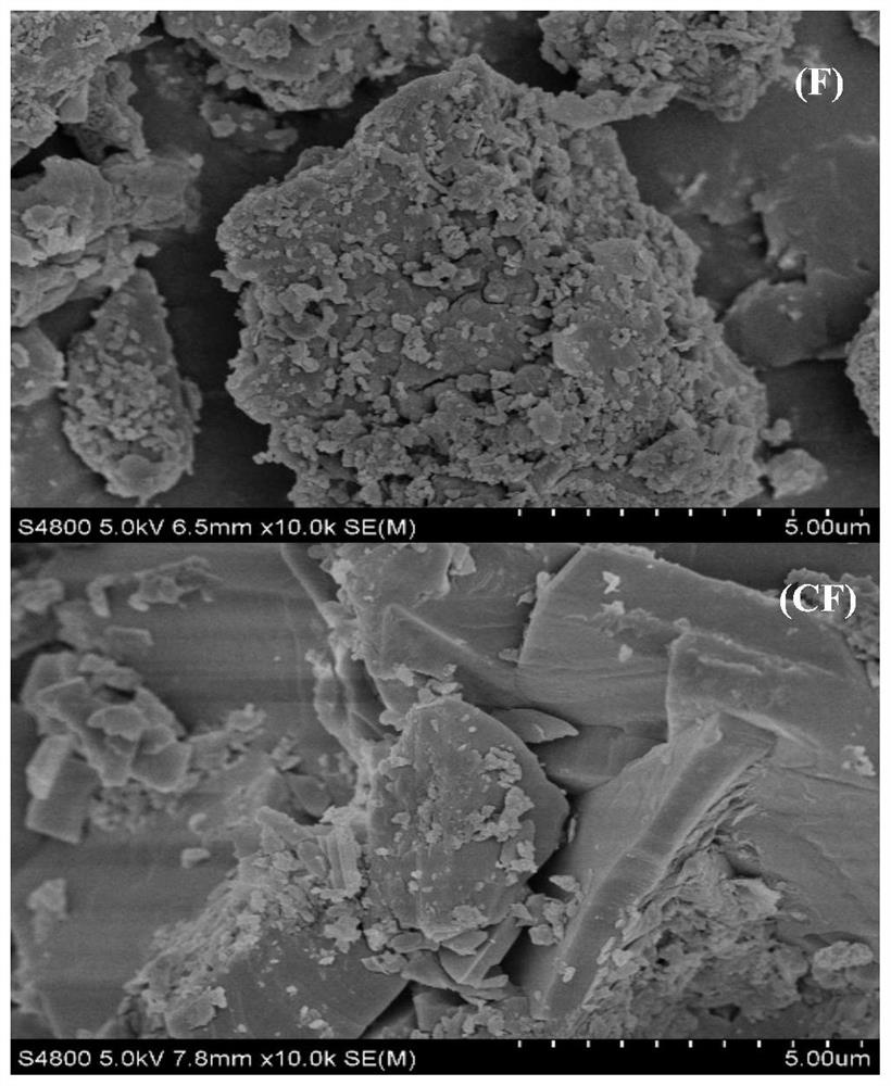 Ammonium oxalate modified phosphate tailing adsorbing material and preparation method and application thereof