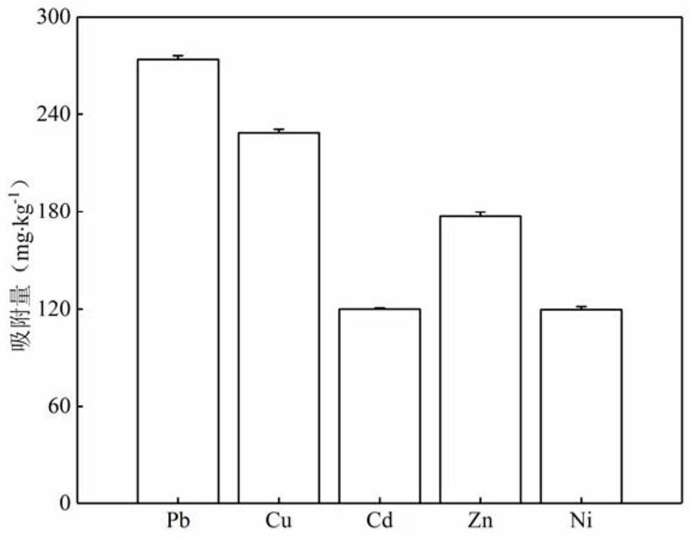 Ammonium oxalate modified phosphate tailing adsorbing material and preparation method and application thereof