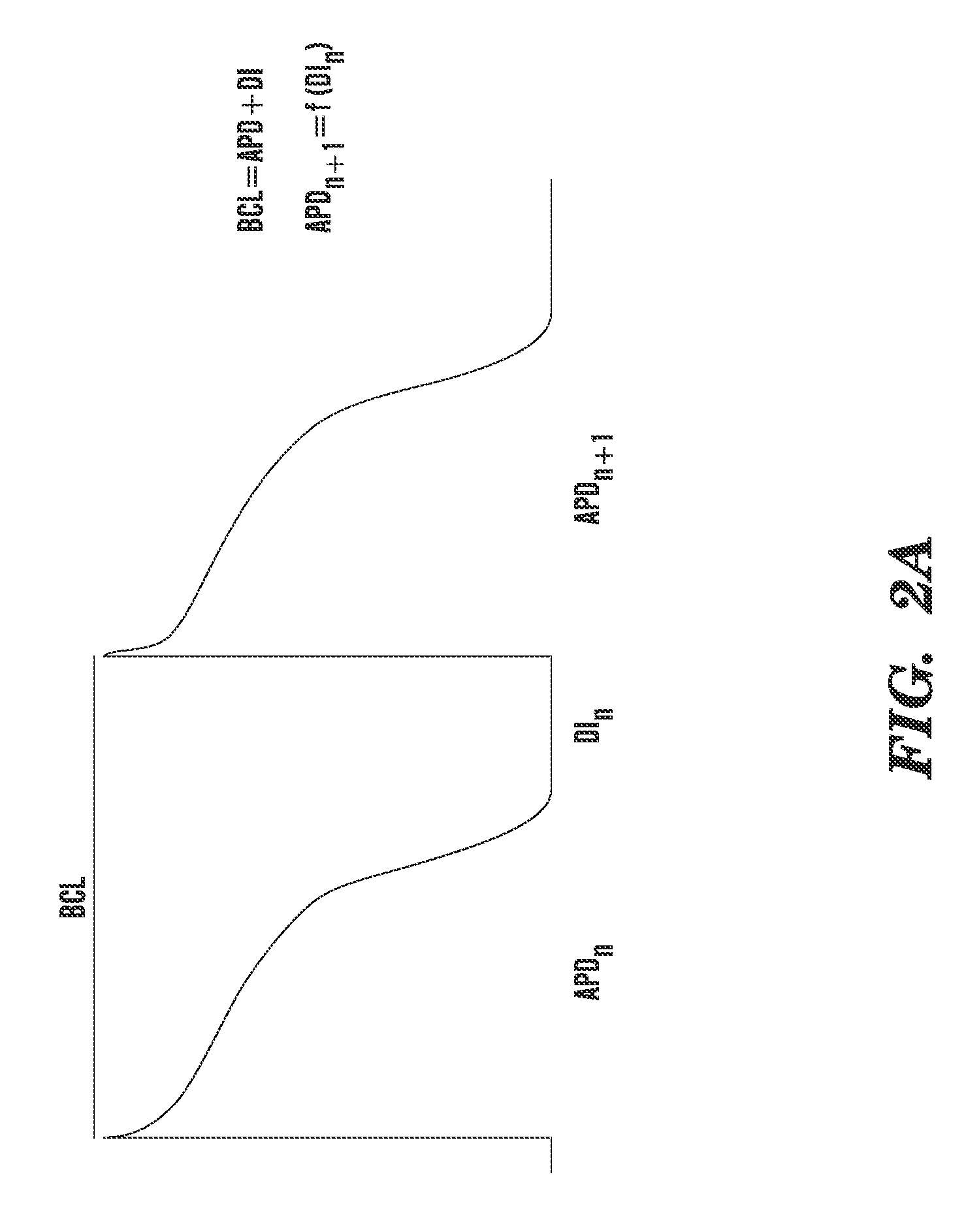 Method of identifying strategies for treatment or prevention of ventricular fibrilation and ventricular tachycardia