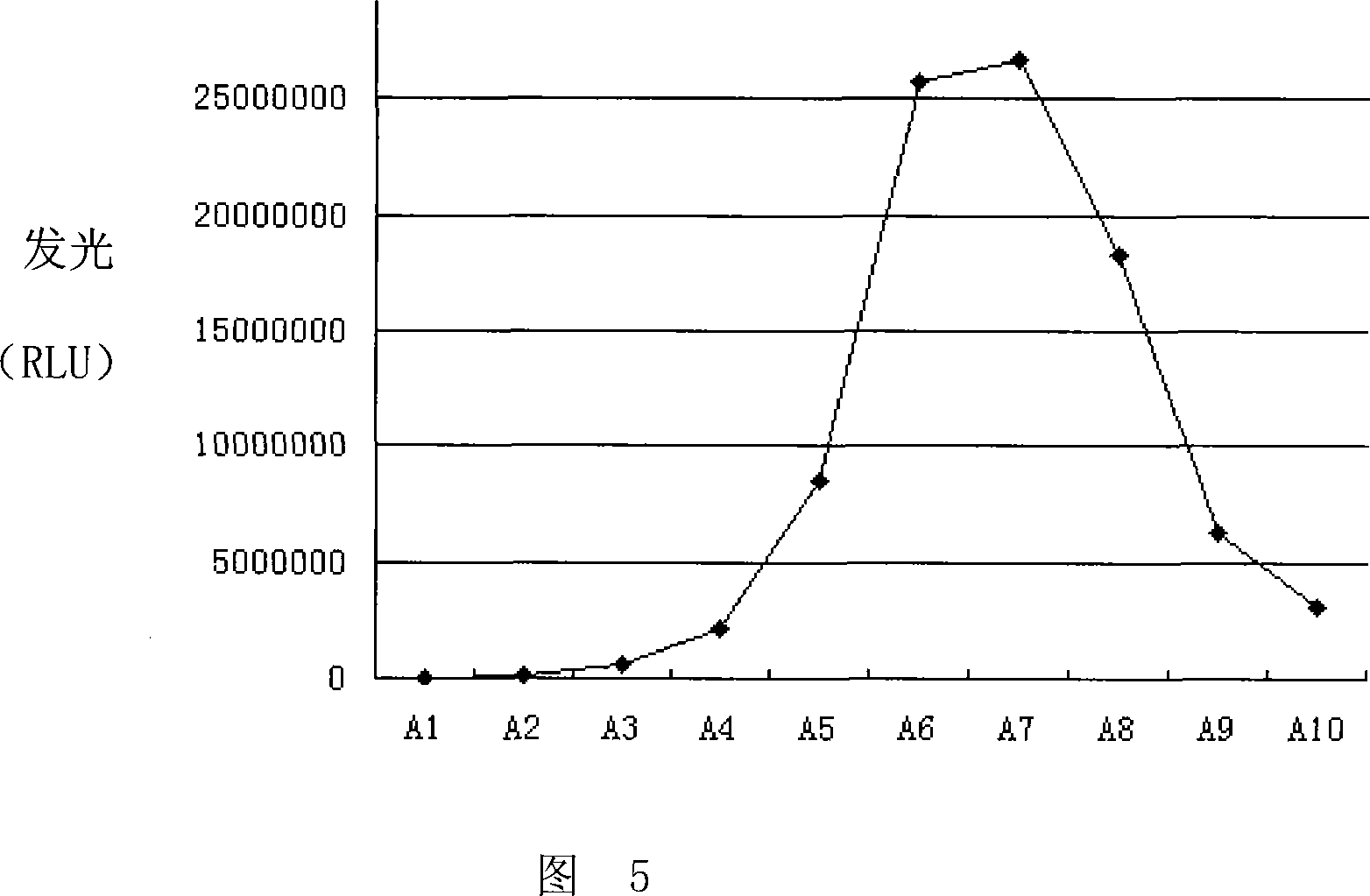 Firefly luciferase gene and application thereof