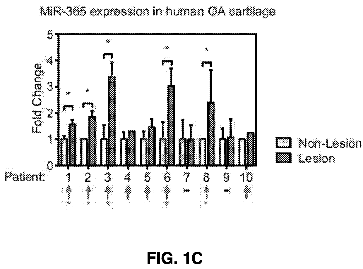 Composition and Methods for Treating Articulating Joint Disorders with Nucleoside Reverse Transcriptase Inhibitors