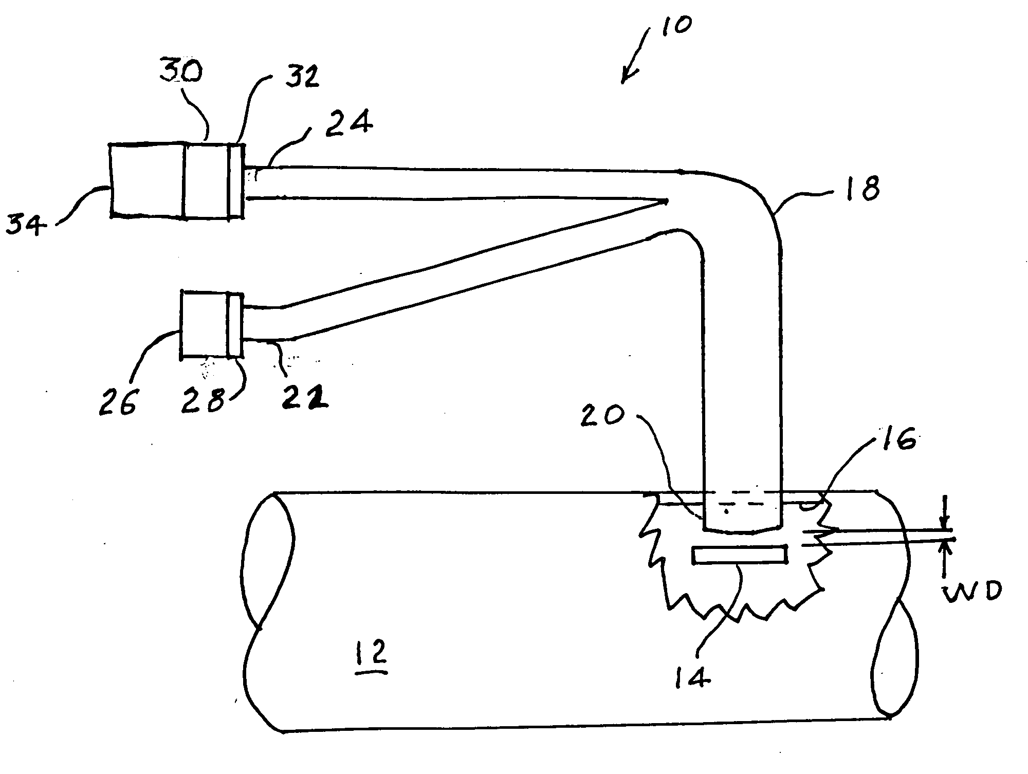 Bacteria sensor and method