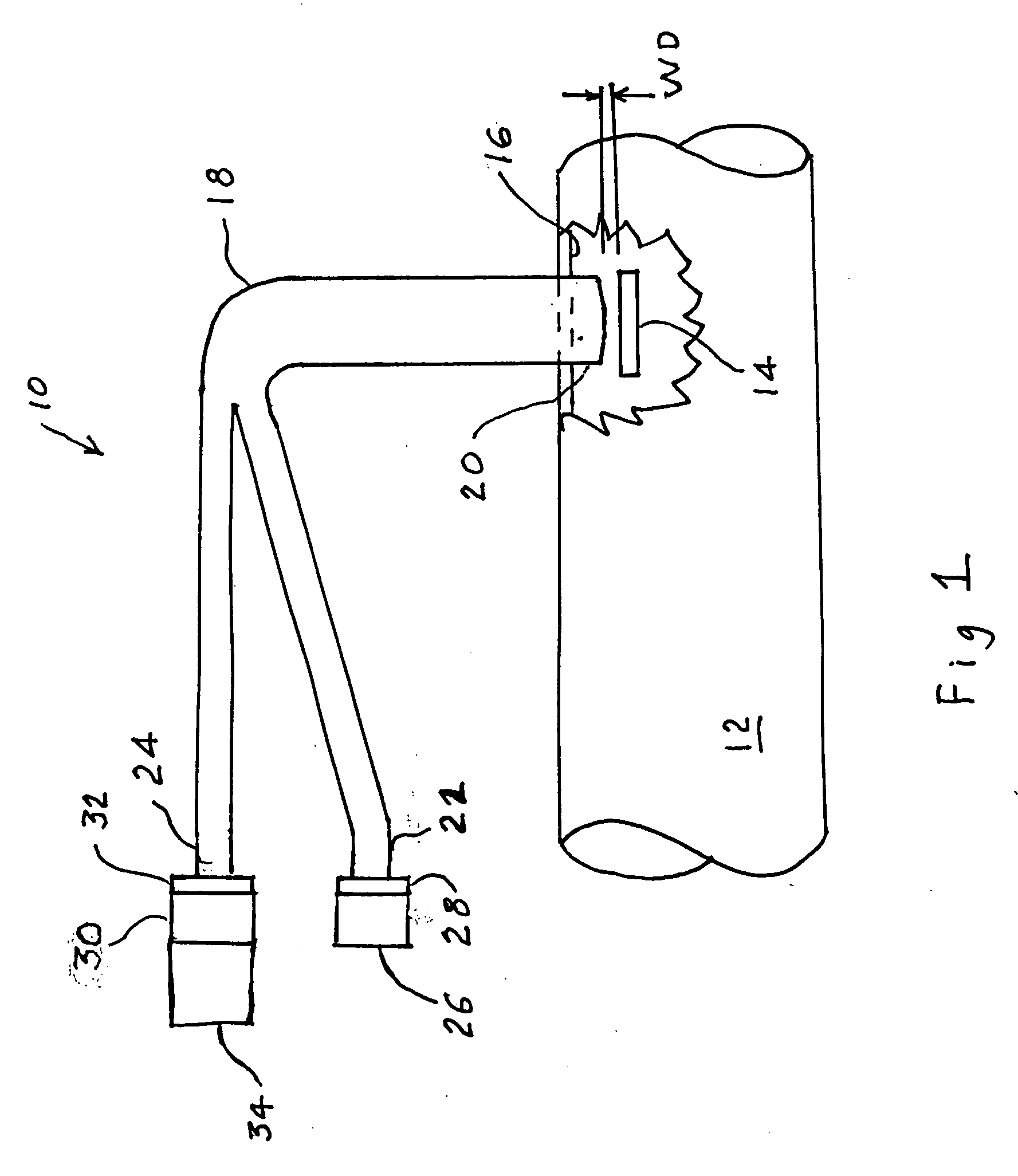 Bacteria sensor and method