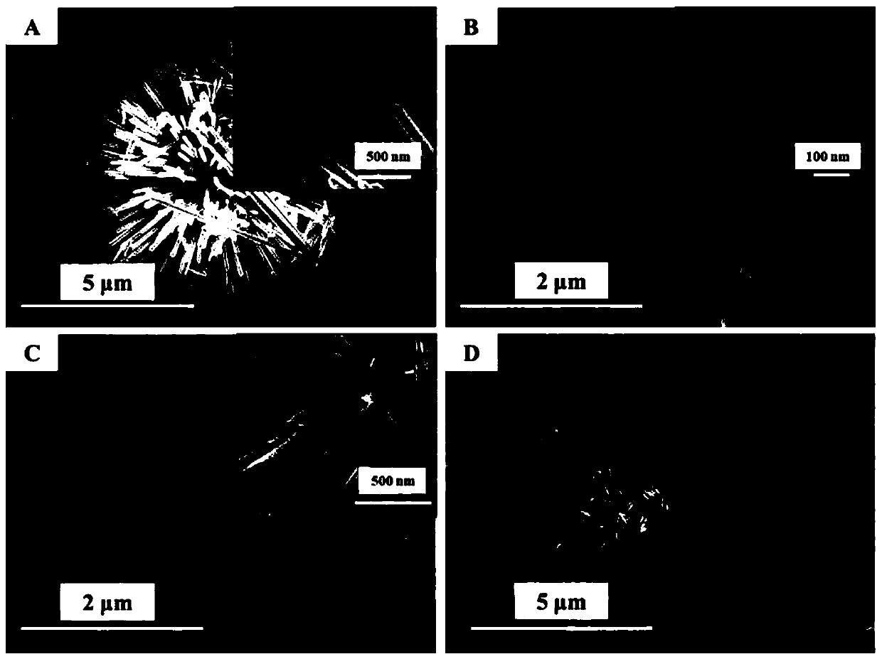 Antibacterial and anti-mildew agent, and preparation method and application thereof