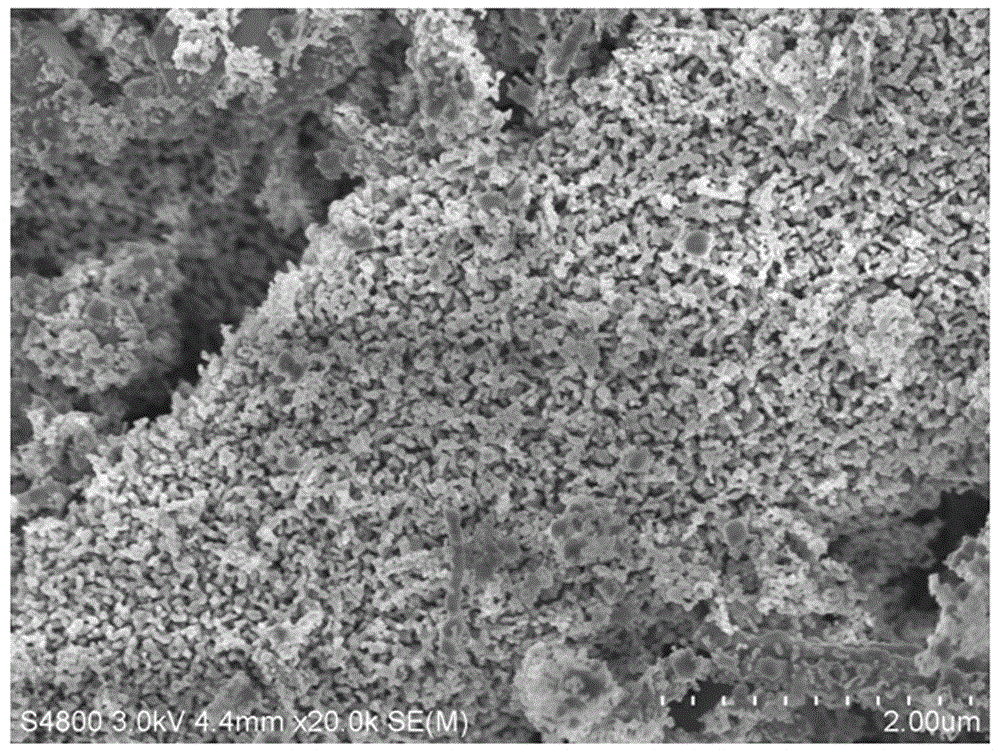 Preparation method of cobaltosic oxide/stannic oxide composite nanomaterial