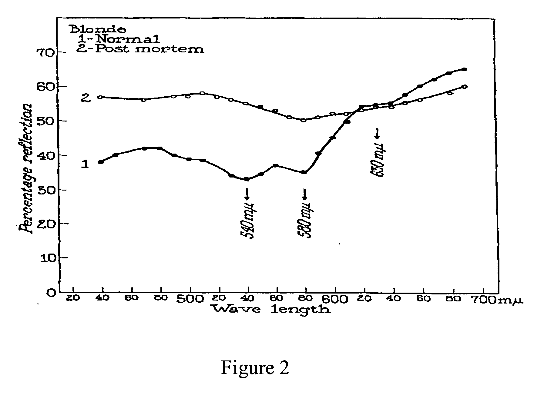 Method and apparatus for standoff detection of liveness