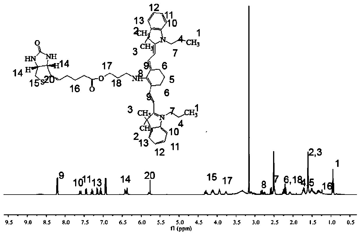 Biotin target-modified photosensitizer and quercetin nano-drug delivery system