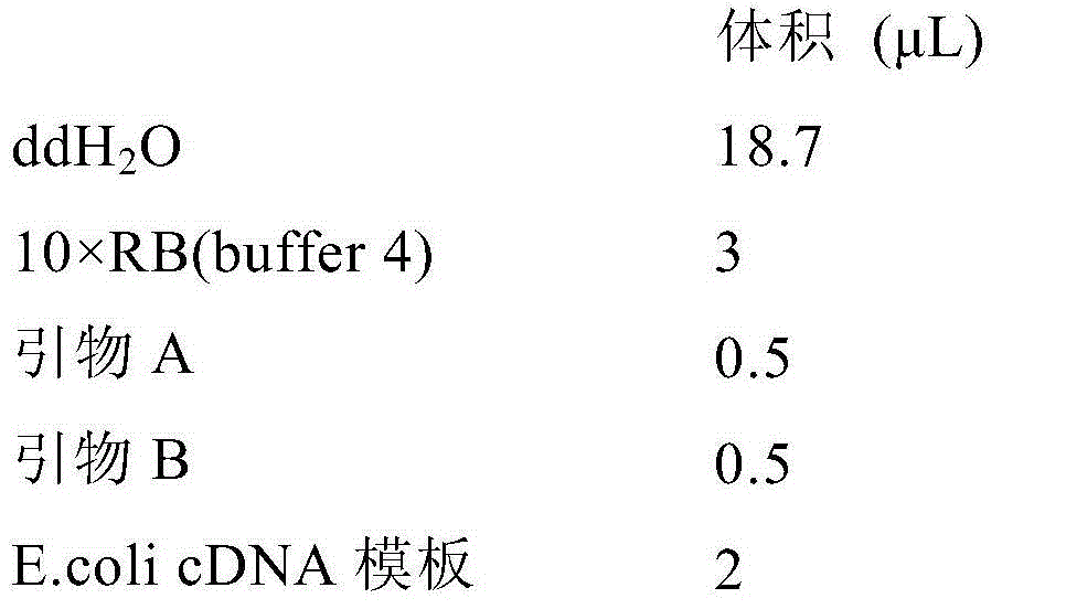 Preparation method of uridine diphosphate glucose