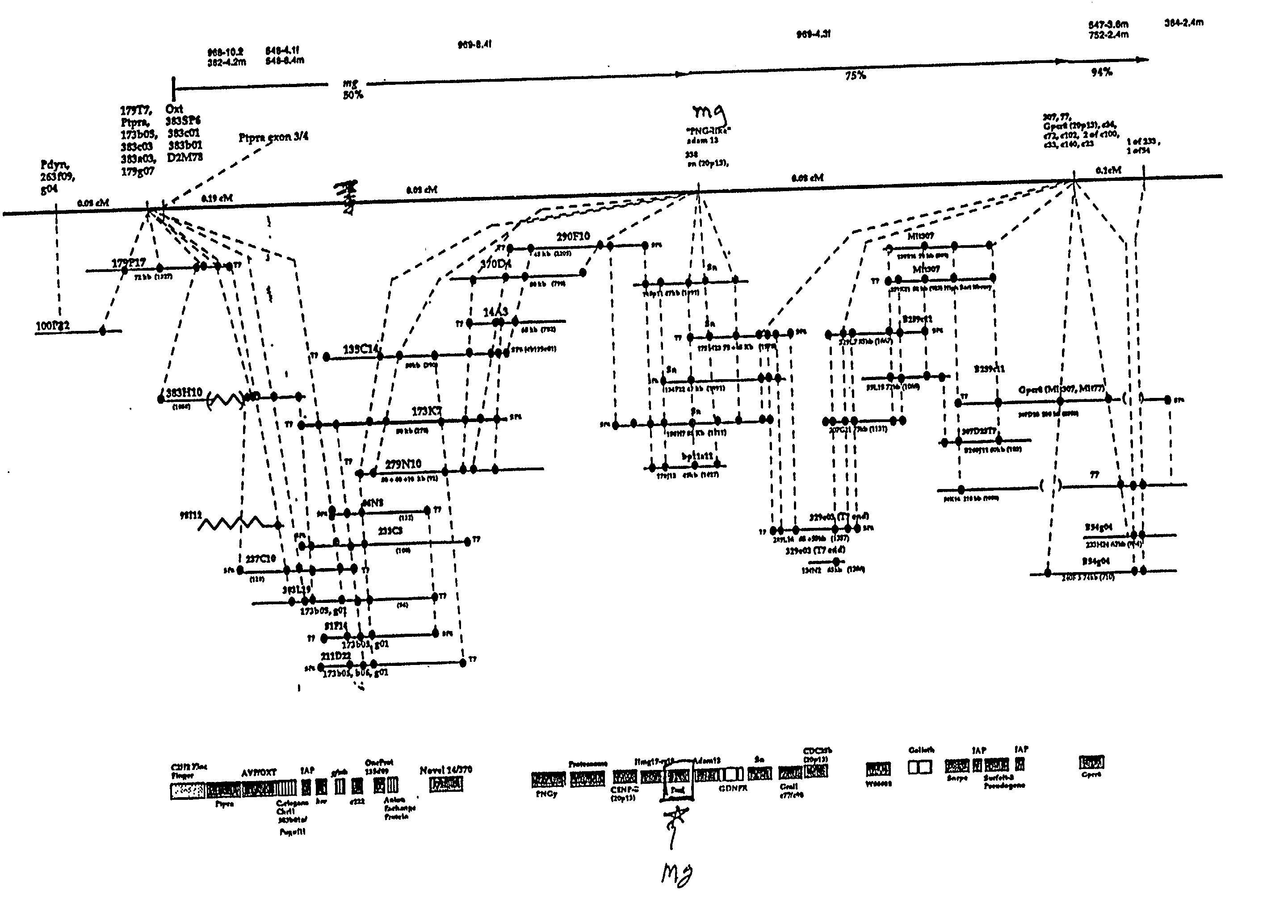 Compositions and methods for the diagnosis and treatment of body weight disorders, including obesity