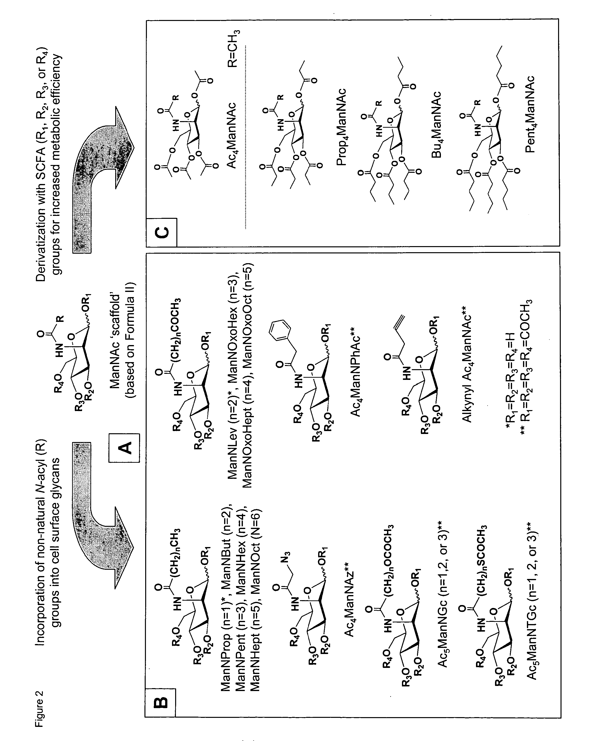 Hybrid scfa-hydroxyl-derivatized monosaccharides, methods of synthesis, and methods of treating disorders