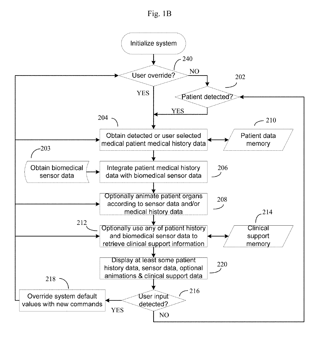 Augmented reality systems for time critical biomedical applications