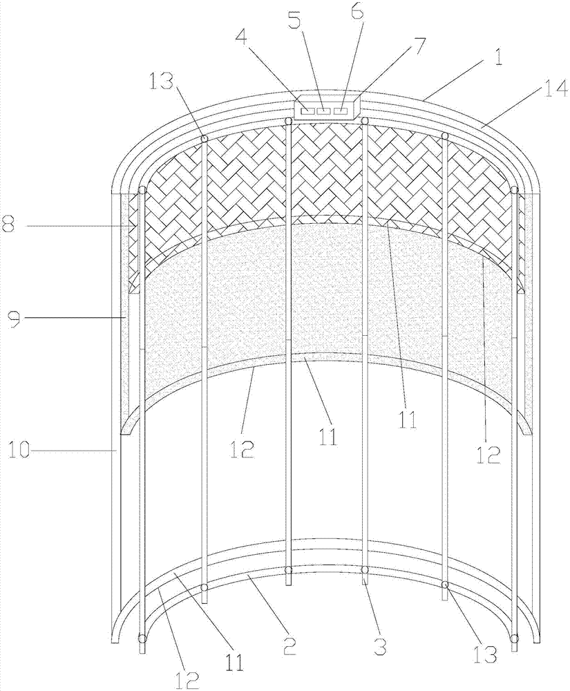 Camellia sapling protective cover