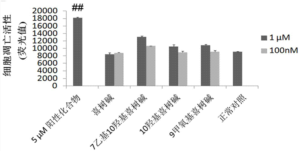 Medical application of camptothecin and its derivative in resisting Alzheimer disease