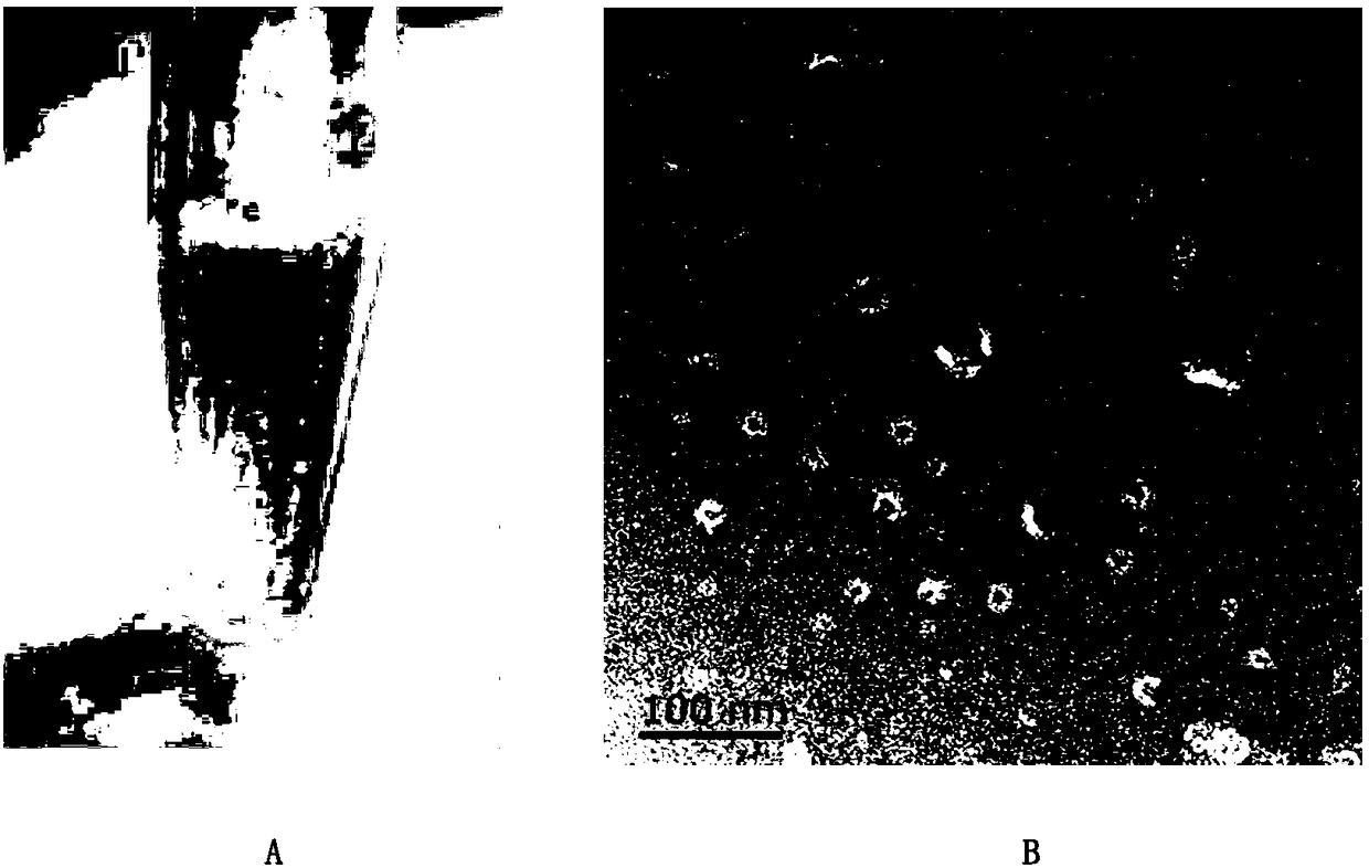 Method for evaluation and quality control of vesicle separating efficiency based on liposome