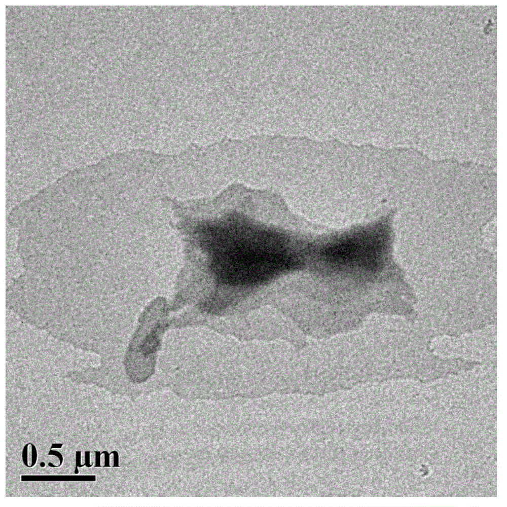 Layer perforation of two-dimensional layer-shaped metal organic framework and application