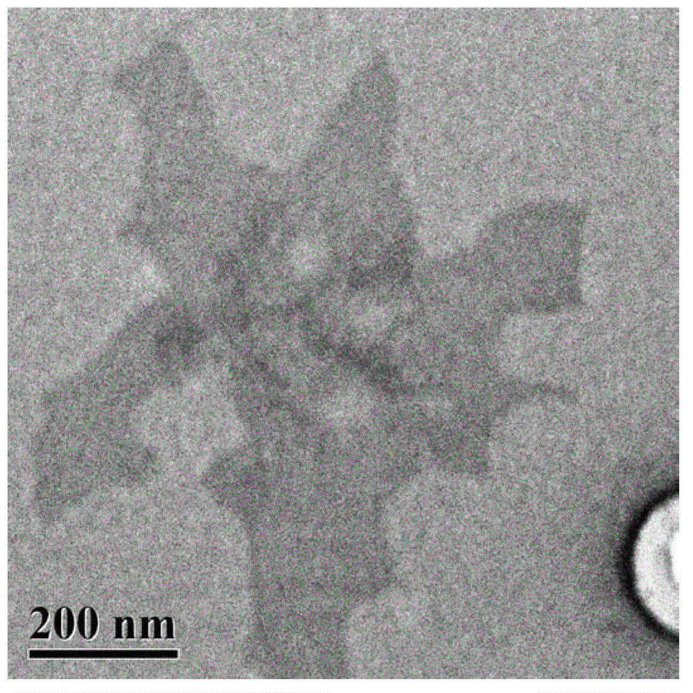 Layer perforation of two-dimensional layer-shaped metal organic framework and application