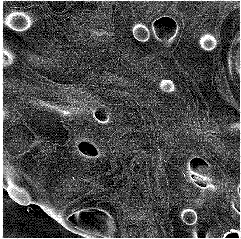 Branching, cross-linking, expanded, melt-dropping-resistant and flame-retardant copolyester based on triazine ring structure and preparation method of copolyester