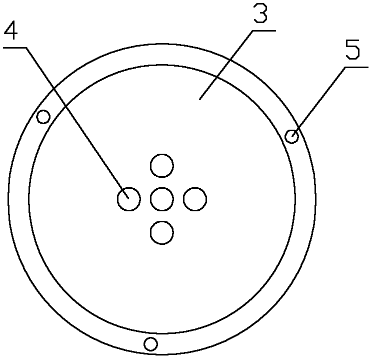 Gallium element doping device and method for Czochralski silicon