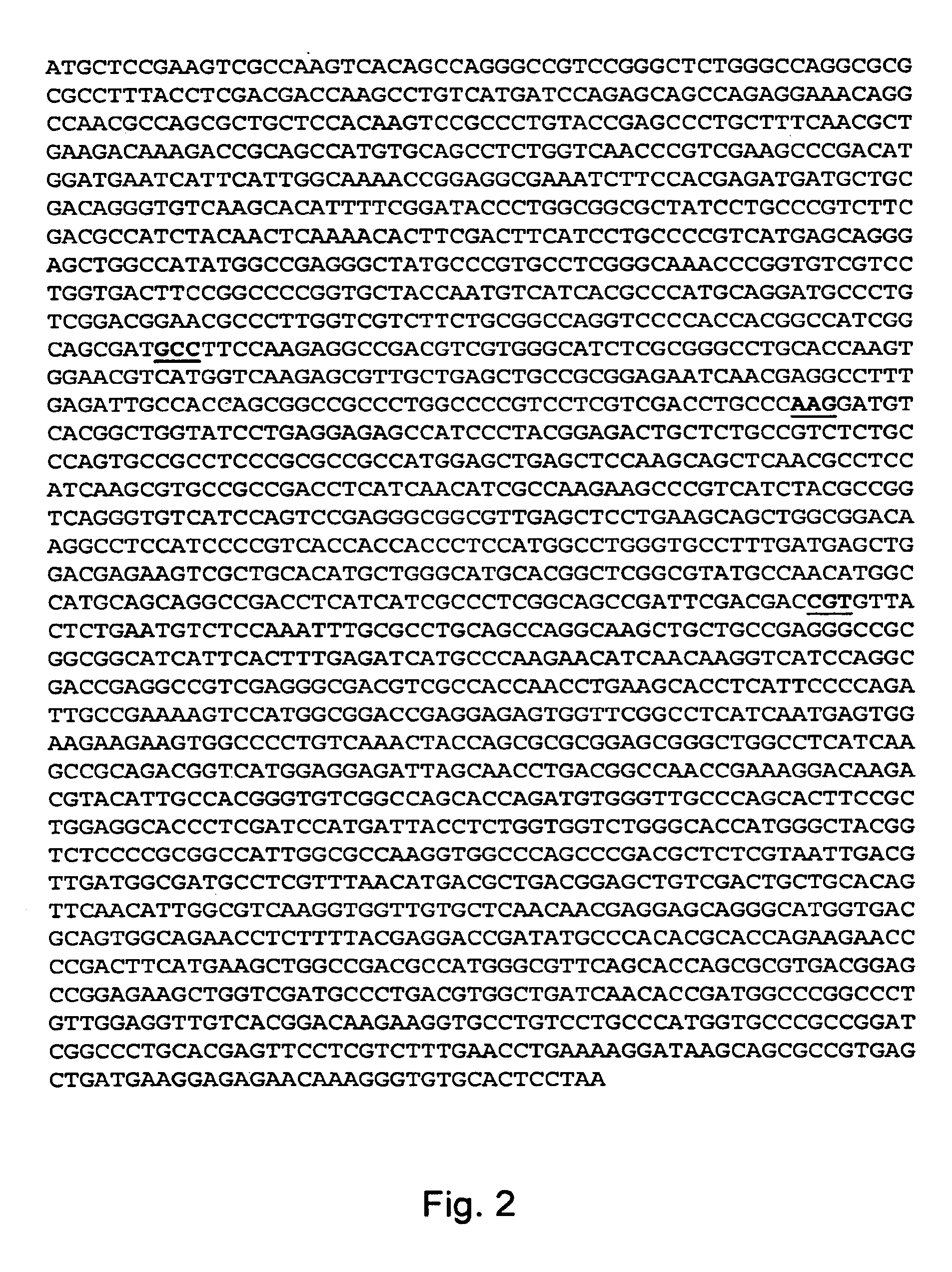 Acetolactate synthase (ALS) selectable marker from Trichoderma reesei