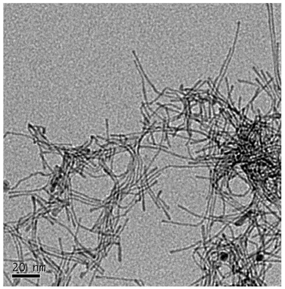 Photoelectrochemical aptasensor based on nanozyme signal amplification and its preparation method and application