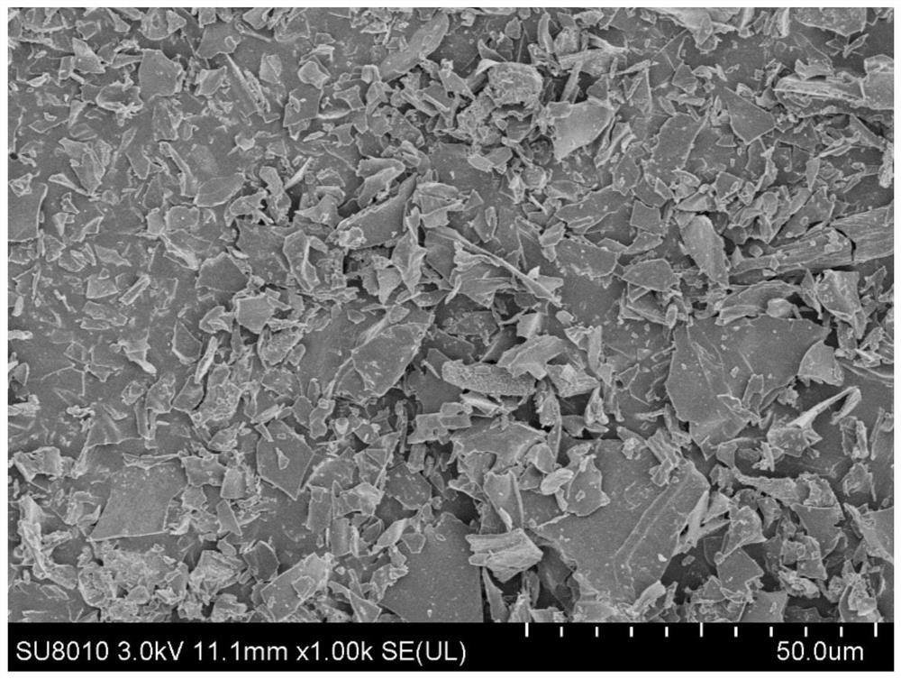 Iron-based biochar sponge composite material as well as preparation method and application thereof