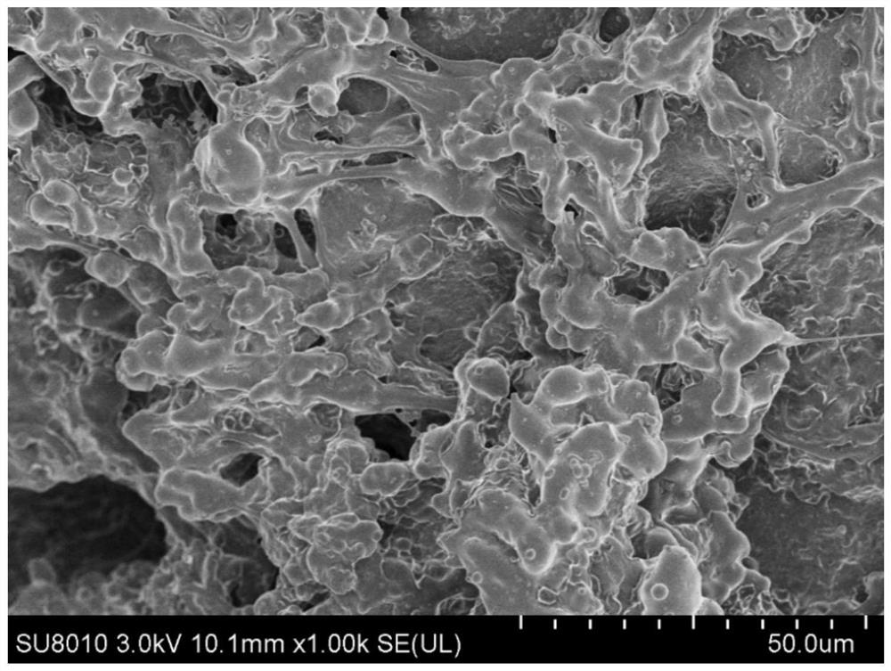 Iron-based biochar sponge composite material as well as preparation method and application thereof