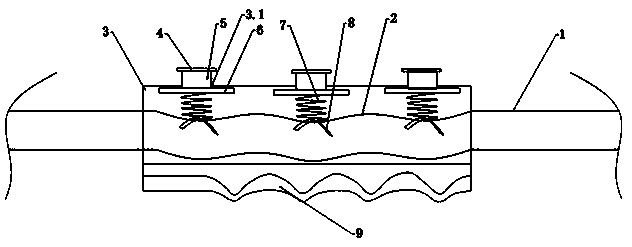 Sprayer spray lance