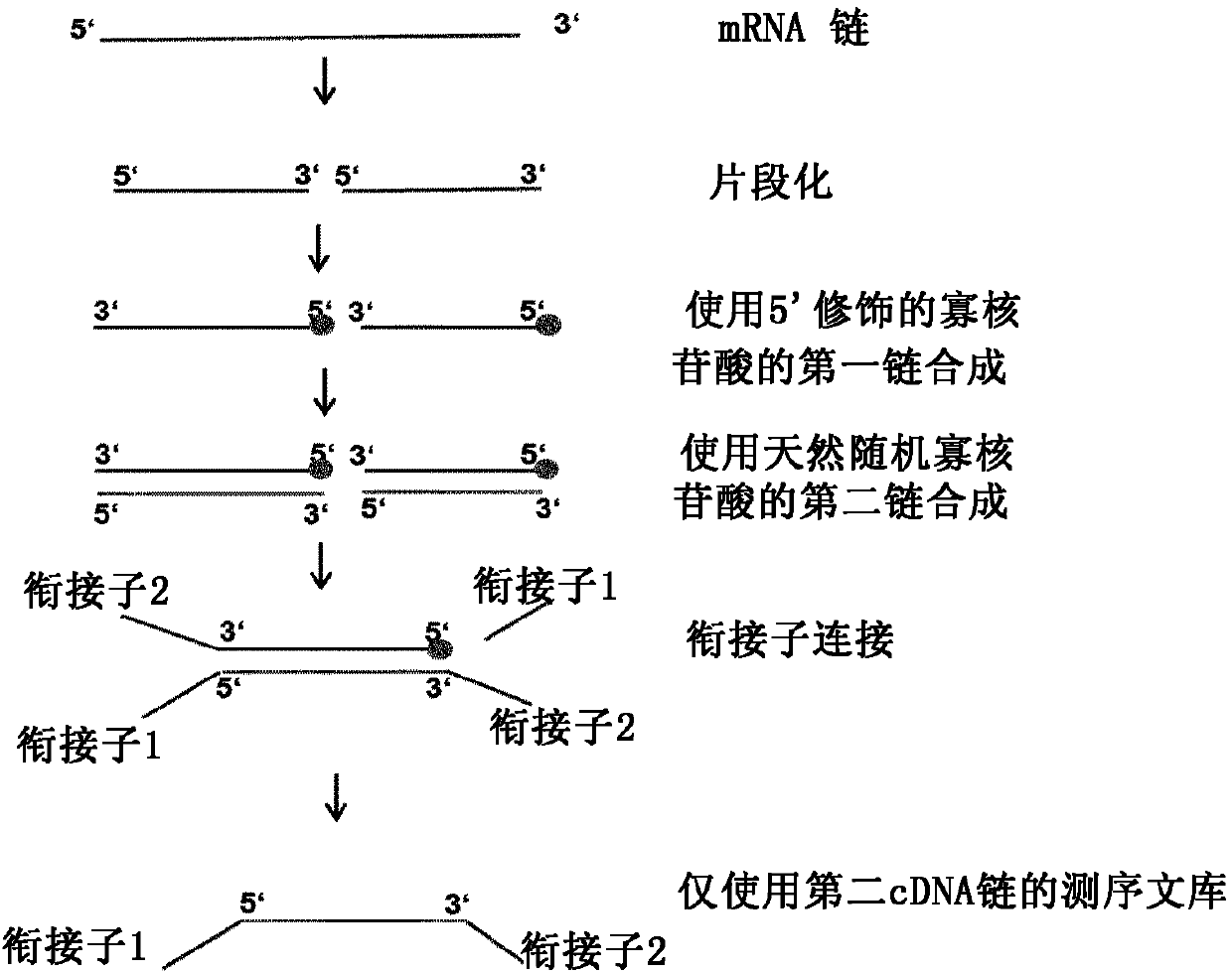 Method for generating a RNA-sequencing library