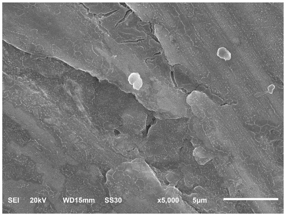 Graphene oxide composite hydroxyapatite-loaded sulfur quantum dot antibacterial coating and preparation method thereof