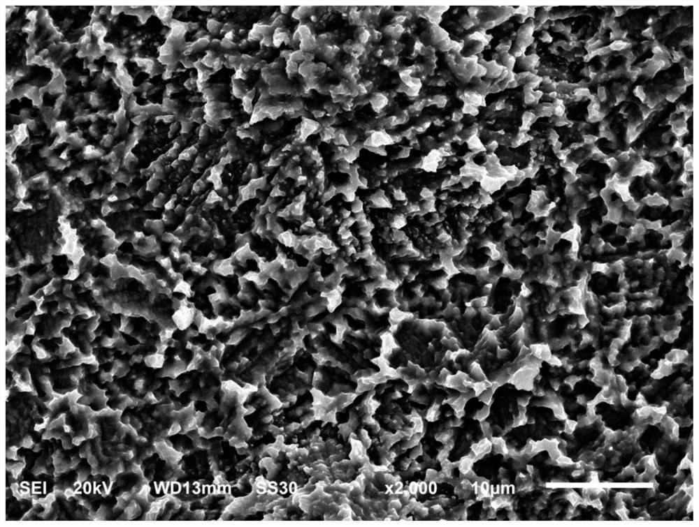 Graphene oxide composite hydroxyapatite-loaded sulfur quantum dot antibacterial coating and preparation method thereof