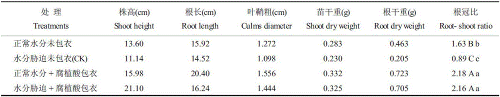 Dwarf culturing and compact planting comprehensive high-yield cultivation technology for sorghum