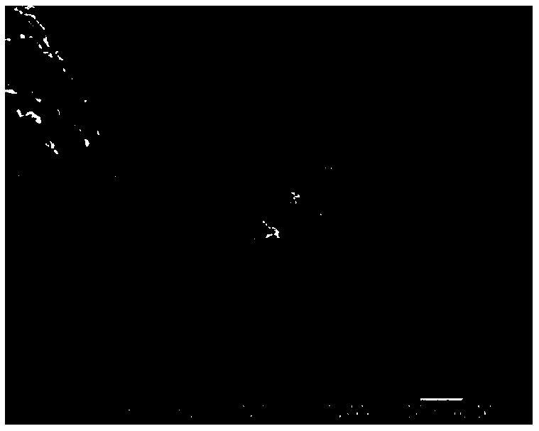 Preparation method of aluminum oxide dispersion-strengthened copper-based diffusion alloy powder