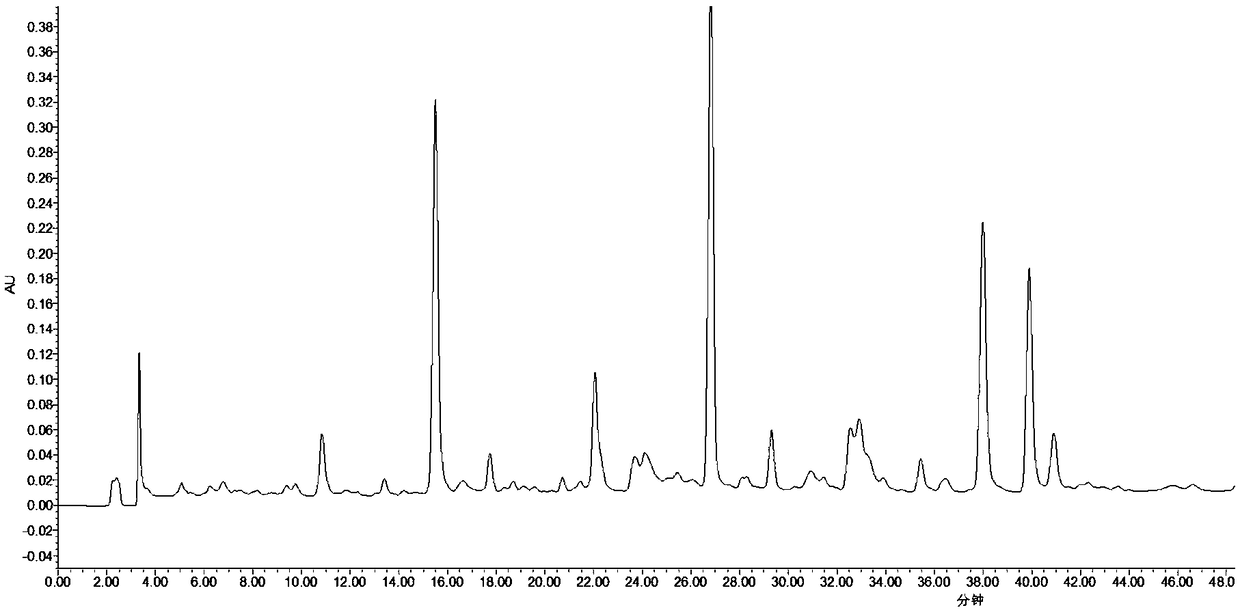 Method for identifying authenticity of subprostrate sophora