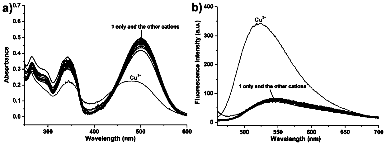 Pyrrole-naphthalimide derivative fluorescent probe as well as preparation method and application thereof