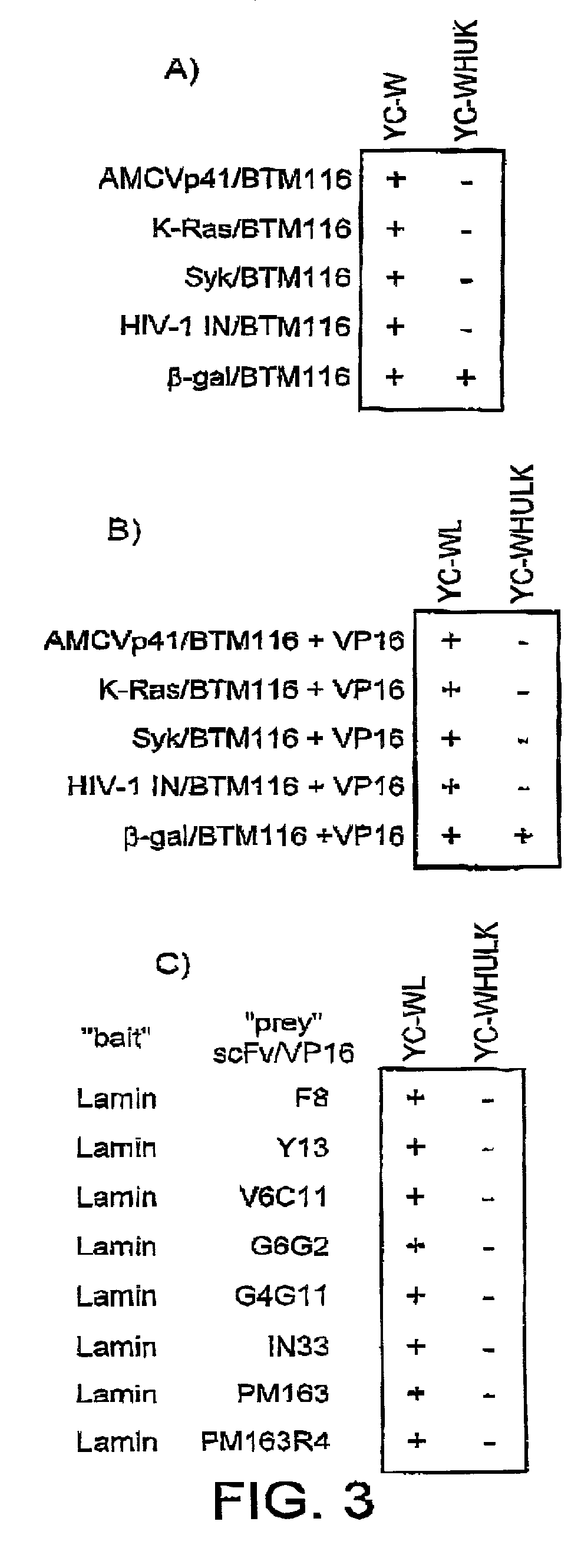 Selection of intracellular immunoglobulins