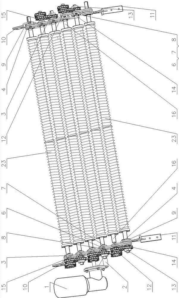 Elastic sorting device of potato separator