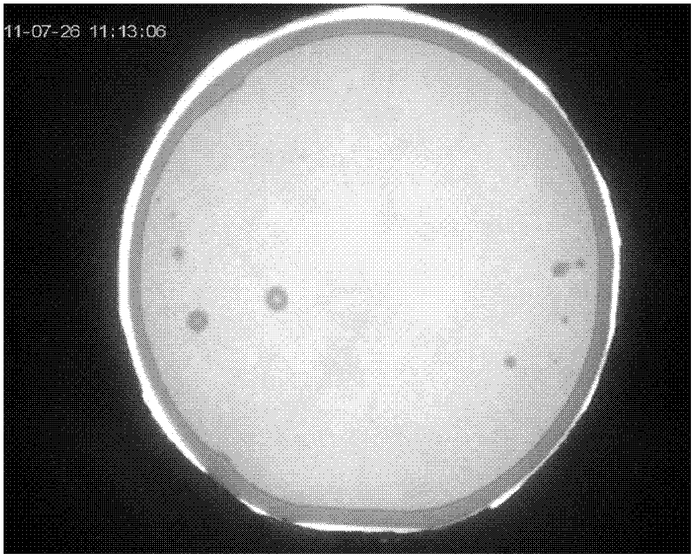 Method for manufacturing three-dimensional silicon mold directly bonded by low-temperature plasma activation