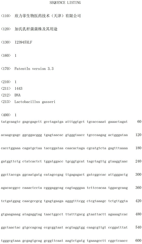 Lactobacillus gasseri strains and uses thereof