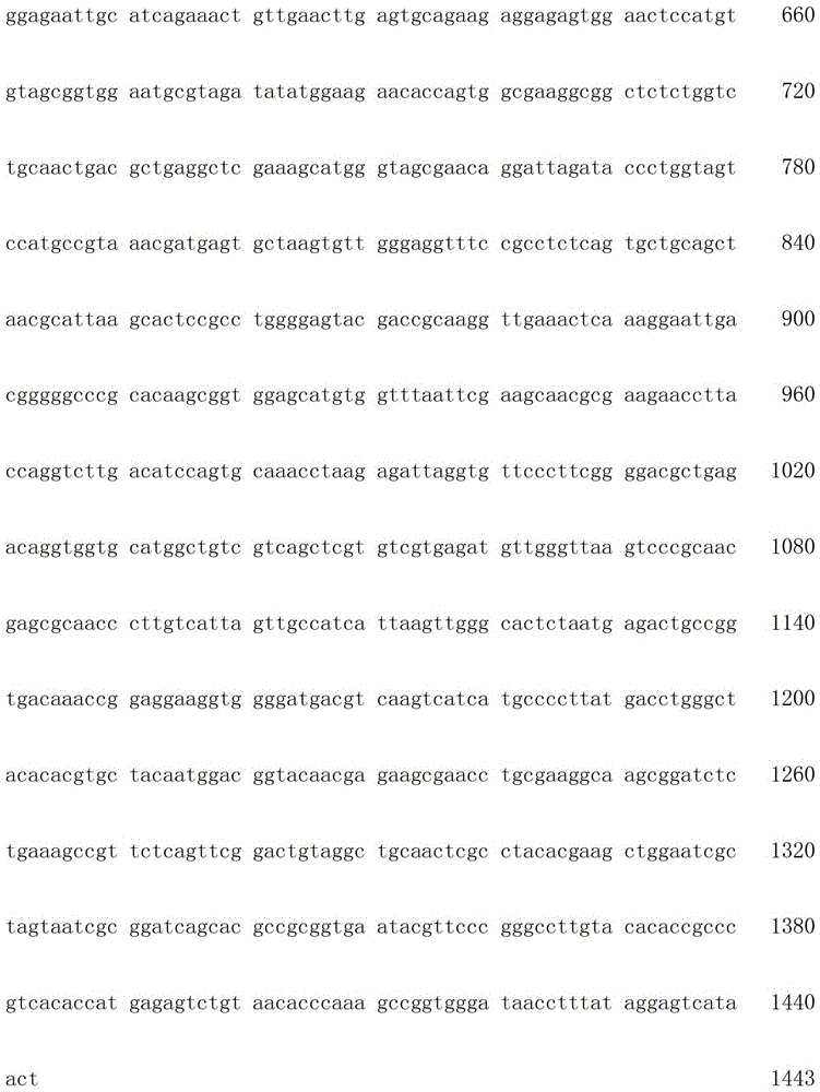 Lactobacillus gasseri strains and uses thereof