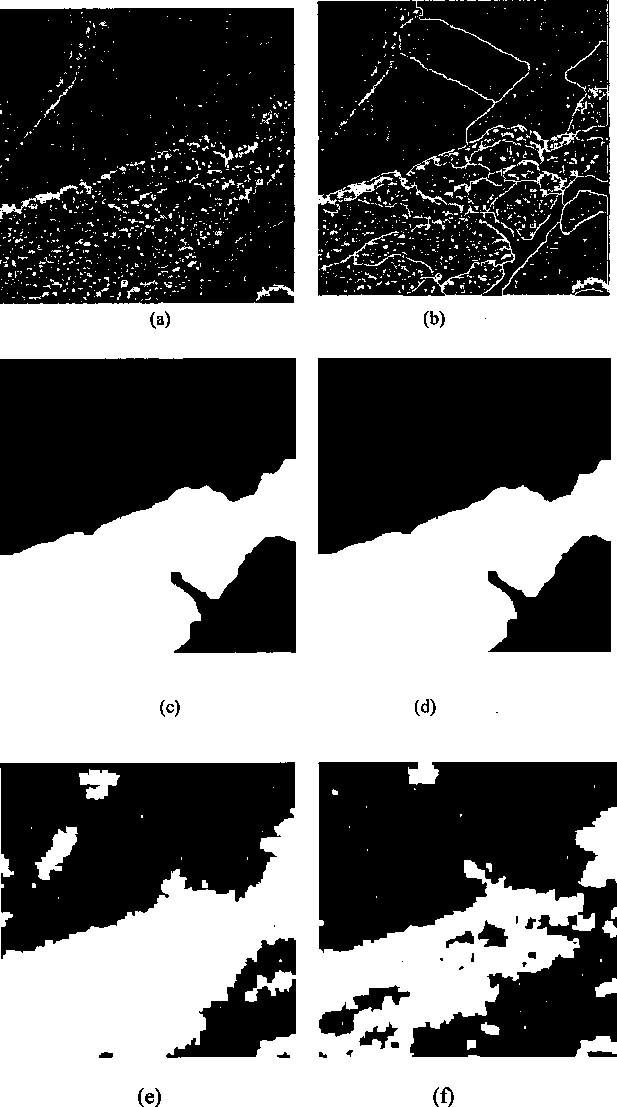 Segmentation method for improving water parting SAR image based on compound wavelet veins region merge