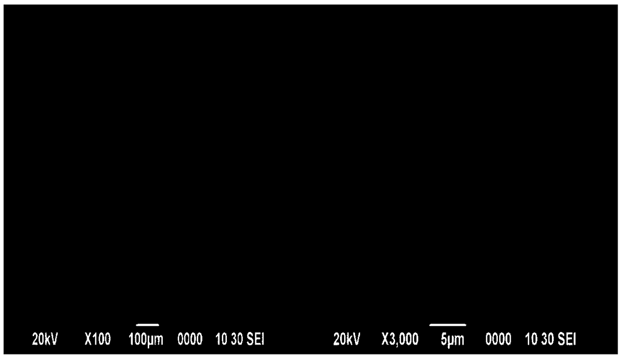 Mango spice for cigarette and preparation method and appLication of microcapsuLe thereof