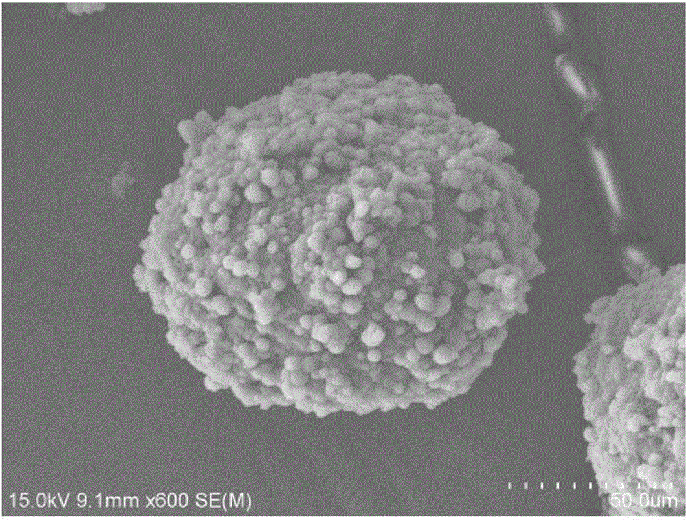 A nanoparticle/polypropylene random copolymer composite resin that can be used for 3D printing and its preparation method and application