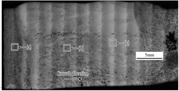 Electromagnetic forming device and method for manufacturing titanium aluminum-based alloy directional fully-lamellar microstructure