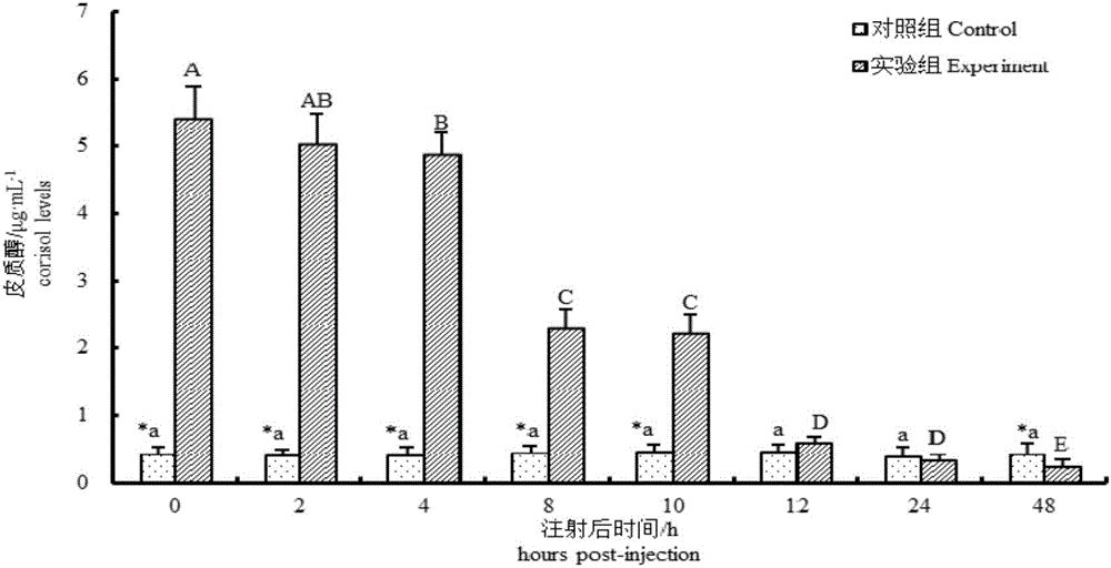 Treatment method for performing acute stress on megalobrama amblycephala