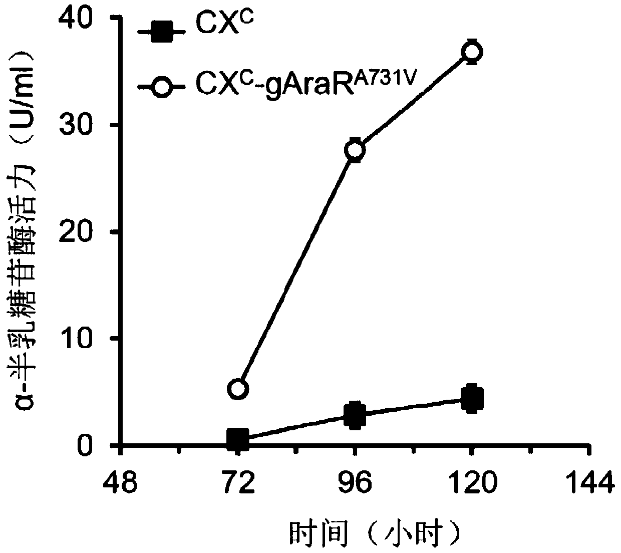 Regulatory protein AraR mutant synthesized by fungus alpha-L-arabinofuranosidase and application thereof