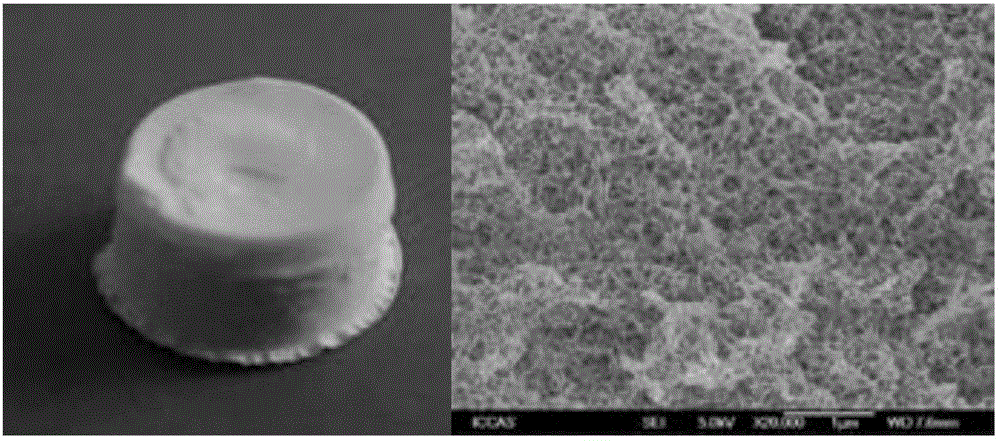 Cellulose aerogel and preparation method for hybrid aerogel thereof