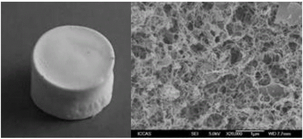 Cellulose aerogel and preparation method for hybrid aerogel thereof