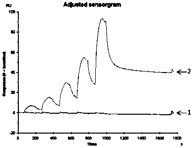 Single-domain antibody capable of recognizing HLA-A2/RMFPNAPYL