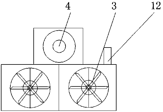 Mechanical algae removal device