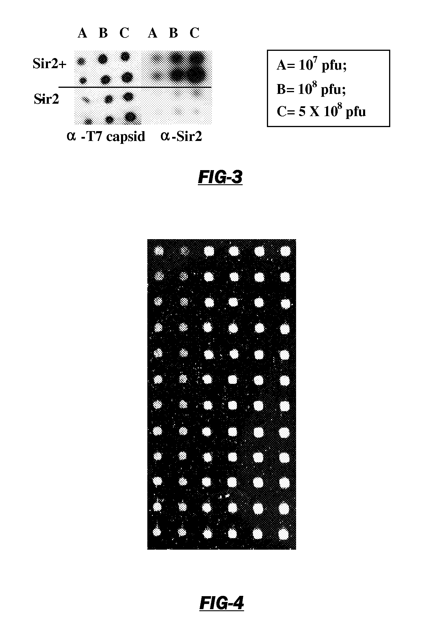 Neoepitope detection of disease using protein arrays